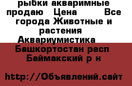 рыбки акваримные продаю › Цена ­ 30 - Все города Животные и растения » Аквариумистика   . Башкортостан респ.,Баймакский р-н